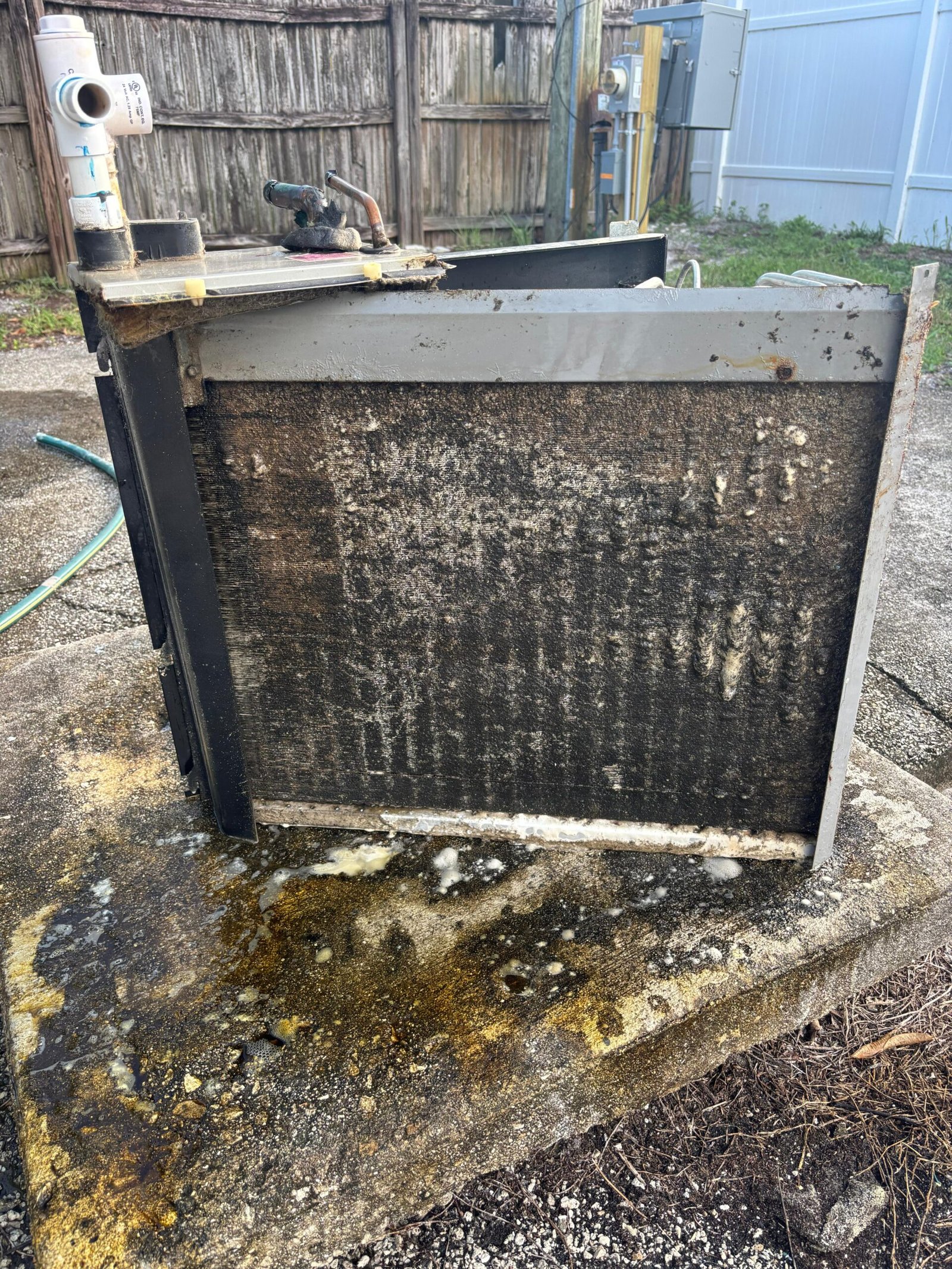 WhatsApp Image 2025-10-16 at 22.05.34 (1)