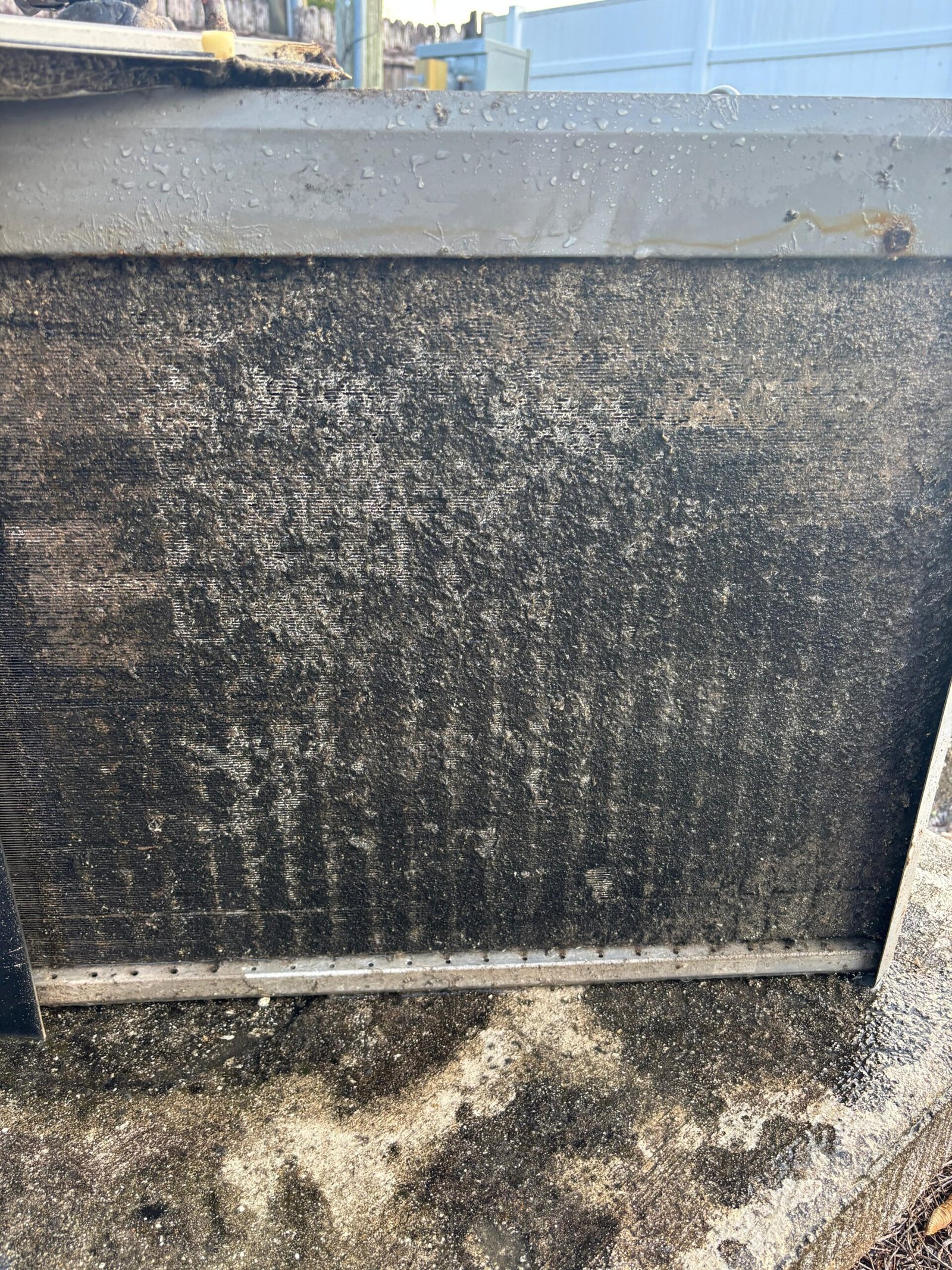 WhatsApp Image 2025-10-16 at 22.05.34