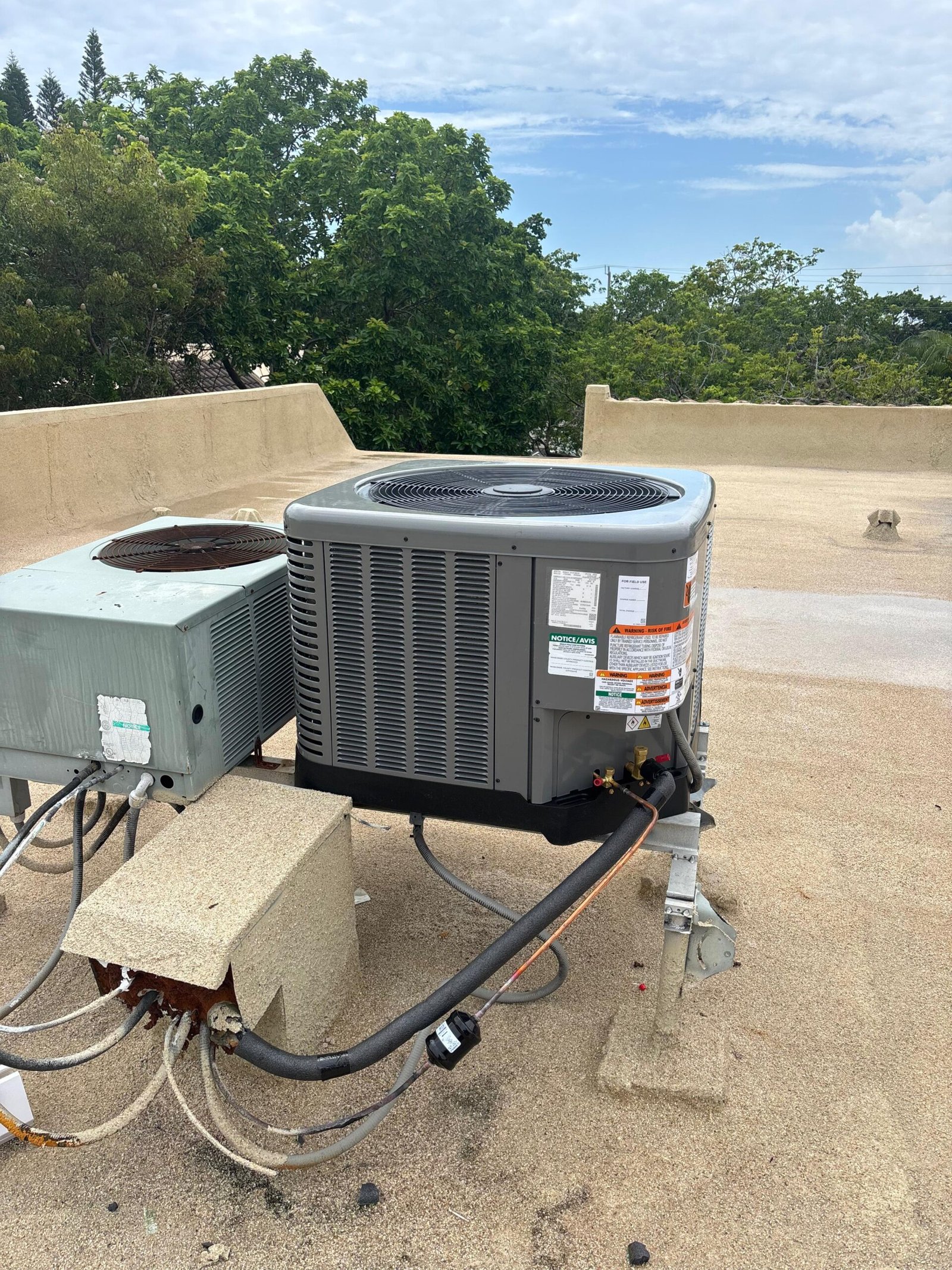 WhatsApp Image 2025-10-16 at 22.05.36 (1)