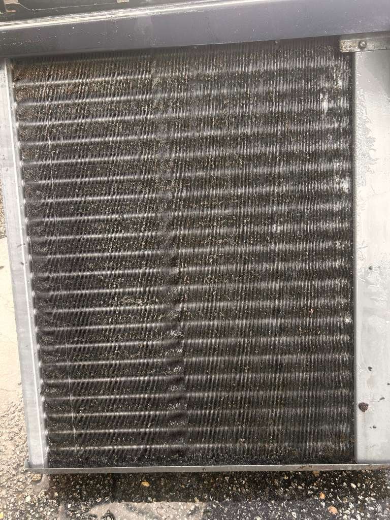 WhatsApp Image 2025-10-16 at 22.05.36